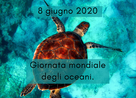 giornata mondiale oceani.png